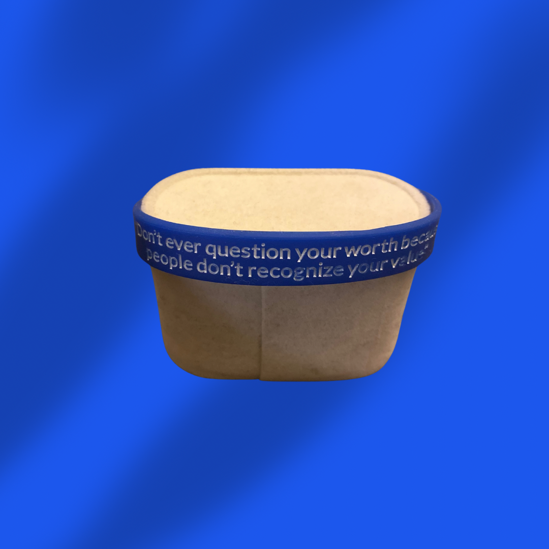 Minute Motivations 101 Wristband